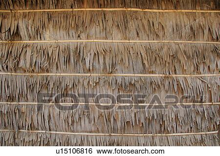 Stock Photograph - thatch, pattern, cambodia, texture, nature, background. Fotosearch