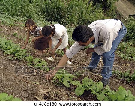 Stock Image - together, people, working, honduras, person, family. Fotosearch