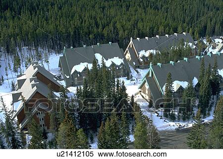 Stock Photography - trees, banff, area, hotel, springs, winter. Fotosearch