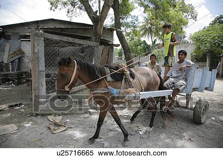 Stock Photography - used, horse, cart, honduras, person, people. Fotosearch
