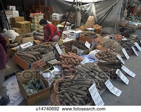 Stock Image - vegetables, people, root, korea, person, food. Fotosearch