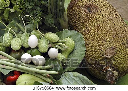 vegetables, person, fruits, jackfruit, brazil, people View Large Photo Image Picture - vegetables, person, fruits, jackfruit, brazil, people. Fotosearch