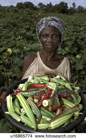 Picture - village, people, kabekel, gambia, person, woman. Fotosearch