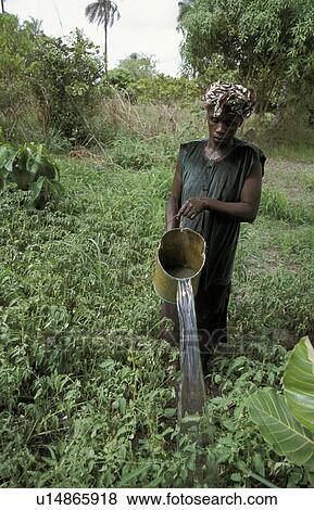 Stock Photo - village, people, kabekel, gambia, person, woman. Fotosearch