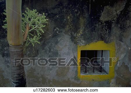 wall, san, rico, puerto, juan, abstract View Large Photo Image Stock Image - wall, san, rico, puerto, juan, abstract. Fotosearch