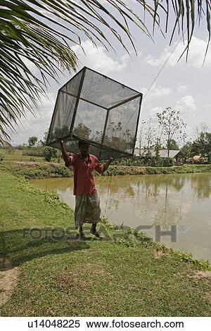 Stock Photography - water, fish, person, people, business. Fotosearch