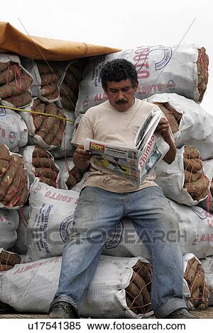 wholesale, people, venezuela, person, fruit, food View Large Photo Image Stock Photography - wholesale, people, venezuela, person, fruit, food. Fotosearch