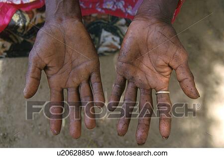 women, people, person, nature, pattern, woman View Large Photo Image Stock Image - women, people, person, nature, pattern, woman. Fotosearch