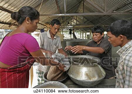 women, woman, fish, person, people, family View Large Photo Image Picture - women, woman, fish, person, people, family. Fotosearch