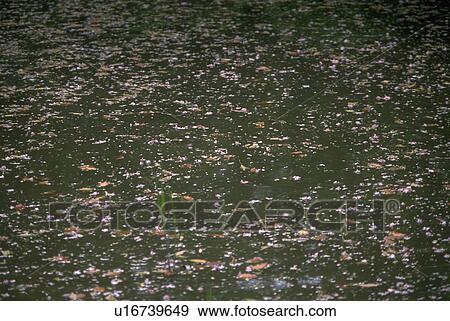 Stock Photo - yellow, textures, design, graphic, patterns, background. Fotosearch