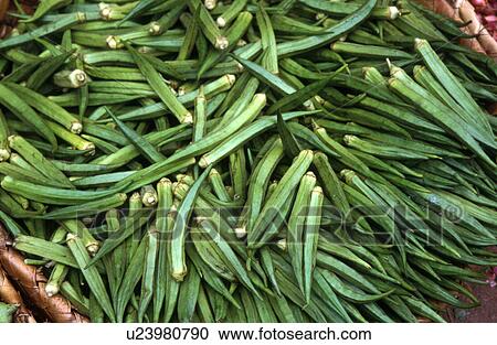 5308, people, person, nature, pattern, food View Large Photo Image Stock Image - 5308, people, person, nature, pattern, food. Fotosearch