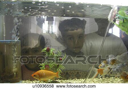 aquarium, person, egypt, 8014, children, people View Large Photo Image Stock Photo - aquarium, person, egypt, 8014, children, people. Fotosearch