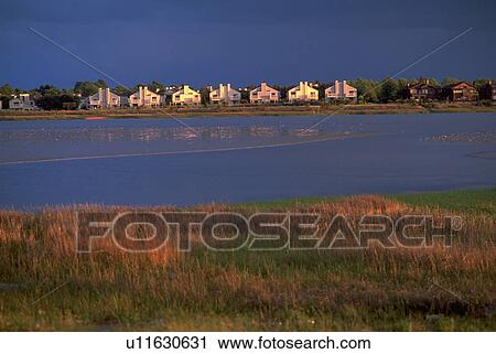bay, houses, francisco, san, shore, water View Large Photo Image Stock Image - bay, houses, francisco, san, shore, water. Fotosearch