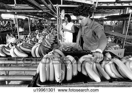 black, food, 653, person, people, business View Large Photo Image Stock Image - black, food, 653, person, people, business. Fotosearch