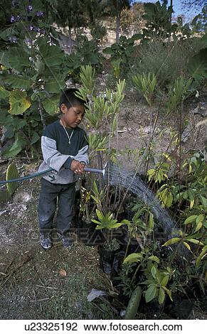 boy, person, hispanic, mexico, 5593, people View Large Photo Image Stock Image - boy, person, hispanic, mexico, 5593, people. Fotosearch