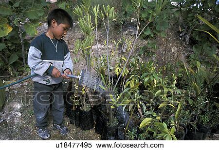 Stock Photography - boy, person, hispanic, mexico, 5594, people. Fotosearch