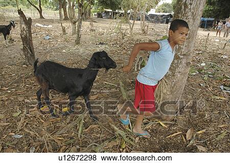boy, sport, brazil, kid, person, people View Large Photo Image Stock Photo - boy, sport, brazil, kid, person, people. Fotosearch