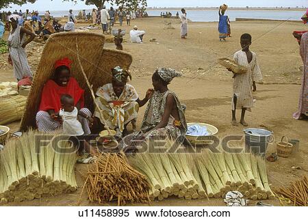 brushes, person, selling, mali, 3113, people View Large Photo Image Stock Photography - brushes, person, selling, mali, 3113, people. Fotosearch