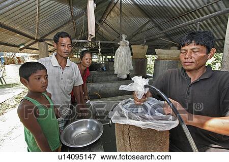 Stock Photo - buying, people, bangladesh, fish, person, family. Fotosearch