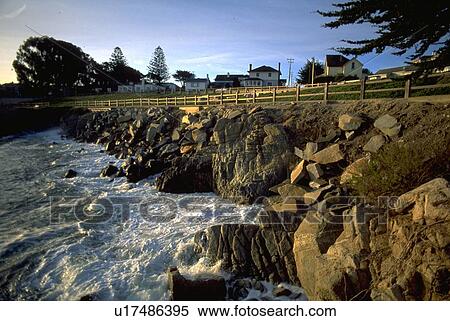 california, beauty, monterey, grove, pacific, nature View Large Photo Image Stock Photography - california, beauty, monterey, grove, pacific, nature. Fotosearch