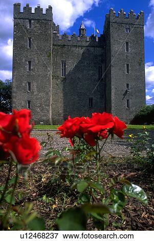 castle, red, bunratty, foreground, flowers, bright View Large Photo Image Stock Photo - castle, red, bunratty, foreground, flowers, bright. Fotosearch