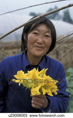 Stock Image - china, flowers, 7120, person, people, woman. Fotosearch