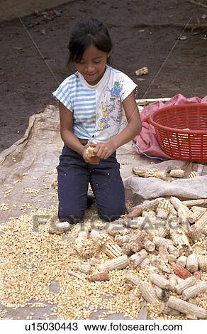 cleaning, girl, guatemala, 5576, person, people View Large Photo Image Stock Image - cleaning, girl, guatemala, 5576, person, people. Fotosearch