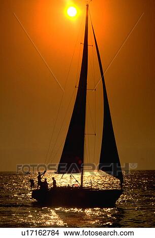 Picture - coast, sailing, florida, off, sail, sailboat. Fotosearch