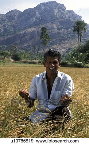Stock Photo - contemplating, person, farmer, tamari, india, people. Fotosearch