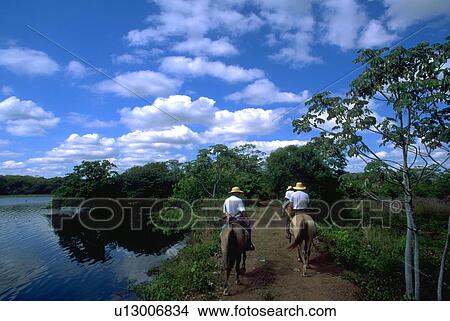 cowboys, horse, pantanerio, two, beauty, water View Large Photo Image Picture - cowboys, horse, pantanerio, two, beauty, water. Fotosearch