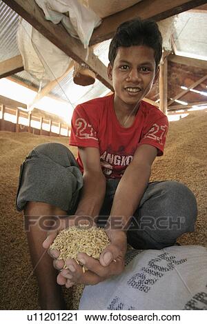 Stock Image - daung, person, bank, rice, cambodia, people. Fotosearch