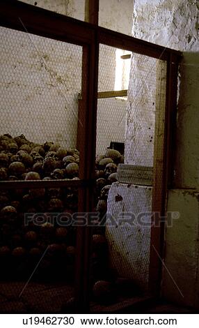 deceased, person, bones, egypt, 3954, people View Large Photo Image Stock Image - deceased, person, bones, egypt, 3954, people. Fotosearch