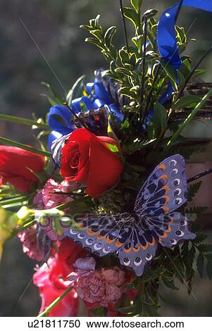 decorates, flowers, ornament, butterfly, blossoms, flora View Large Photo Image Stock Image - decorates, flowers, ornament, butterfly, blossoms, flora. Fotosearch