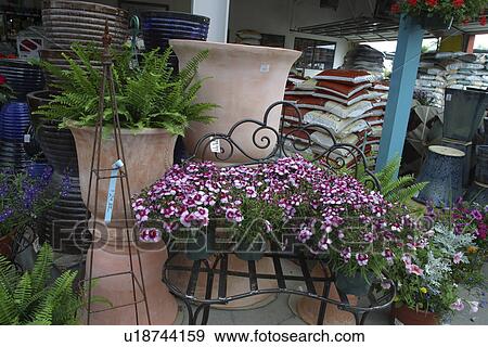 Stock Photo - display, Richardson, indoor, inside, nursery, Texas. Fotosearch