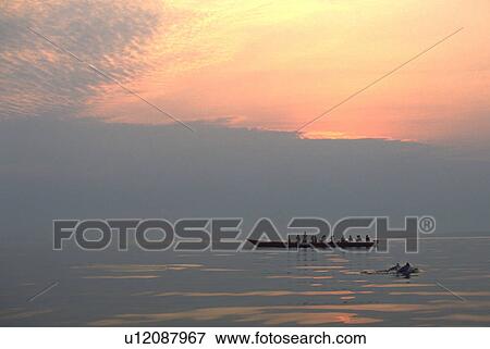 Stock Photo - dolphins, people, pink, watching, beauty, water. Fotosearch