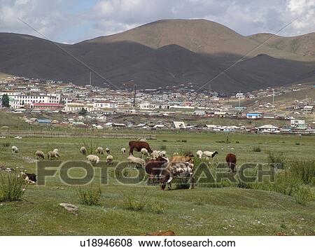 edge, person, suburb, new, mongolia, people View Large Photo Image Stock Photo - edge, person, suburb, new, mongolia, people. Fotosearch