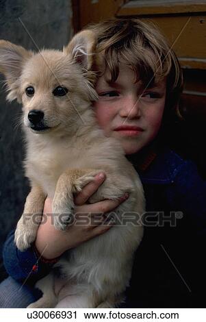 Stock Image - european, furry, holds, girl, young. Fotosearch
