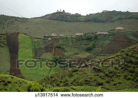 extinct, person, lake, wenchi, ethiopia, people View Large Photo Image Picture - extinct, person, lake, wenchi, ethiopia, people. Fotosearch