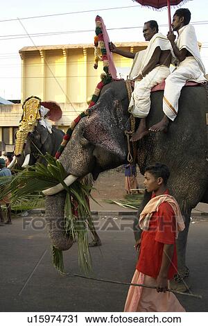 festival, people, elephant, india, person, party View Large Photo Image Stock Image - festival, people, elephant, india, person, party. Fotosearch