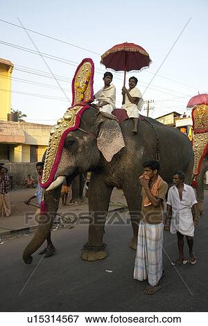 festival, people, elephant, india, person, party View Large Photo Image Stock Photo - festival, people, elephant, india, person, party. Fotosearch
