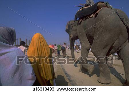 Stock Image - festival, walking, kumbhmela, 2001, worshipers, eleephant. Fotosearch