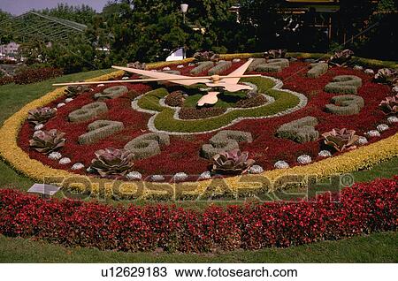 Stock Image - flower, minutes, points, clock, famous. Fotosearch