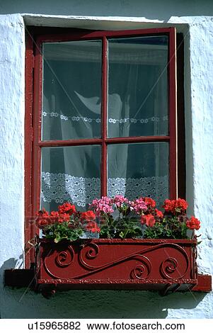 flower, village, window View Large Photo Image Stock Image - flower, village, window. Fotosearch