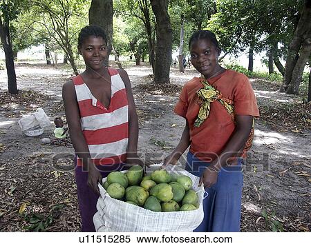 harvesting, person, young, zambia, women, people View Large Photo Image Stock Photography - harvesting, person, young, zambia, women, people. Fotosearch