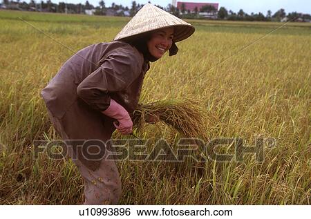 hat, people, straw, 5471, person, woman View Large Photo Image Stock Photograph - hat, people, straw, 5471, person, woman. Fotosearch