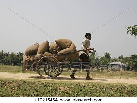Picture - hauling, person, males, men, bangladesh, people. Fotosearch