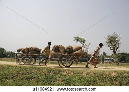 Stock Image - hauling, person, males, men, bangladesh, people. Fotosearch