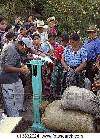 having, coffee, growers, guatemala, person, people View Large Photo Image Picture - having, coffee, growers, guatemala, person, people. Fotosearch