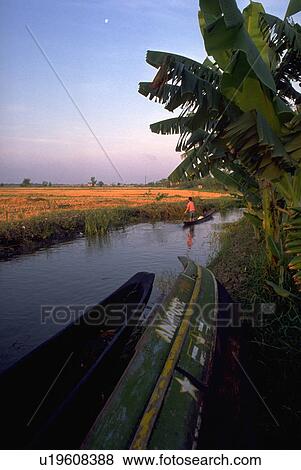 Stock Photo - hawaiian, palm, reflective, river, people. Fotosearch
