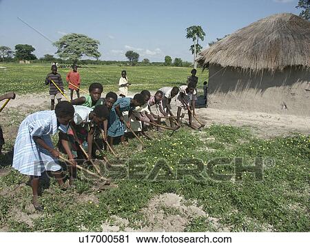 hoeing, people, girls, zambia, person, food View Large Photo Image Stock Image - hoeing, people, girls, zambia, person, food. Fotosearch